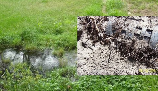 Signs of Septic System Failure